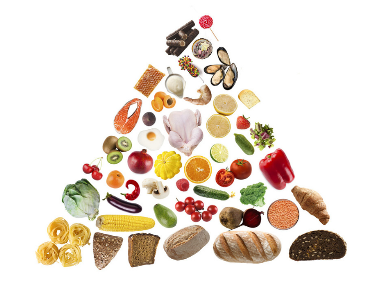 piramida żywienia